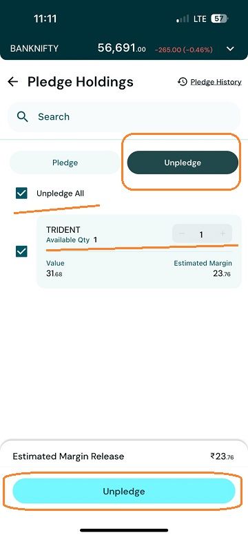 unpledge 4.jpg